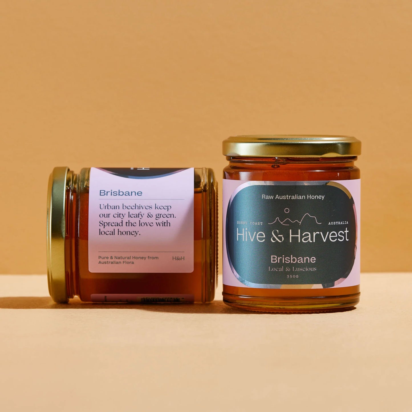 Hive & Harvest Honey 350g | Brisbane