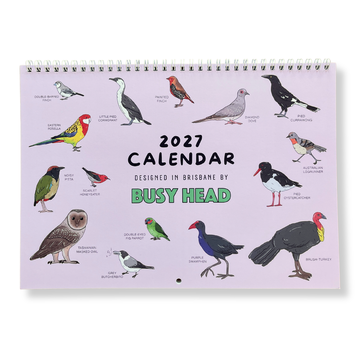 Busy Head Australian Bird 2027 Wall Calendar