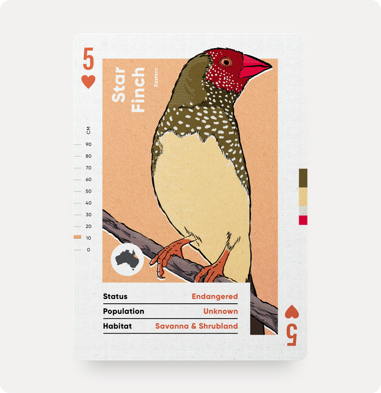 Wildly Nice Playing Cards | Birds of Australia