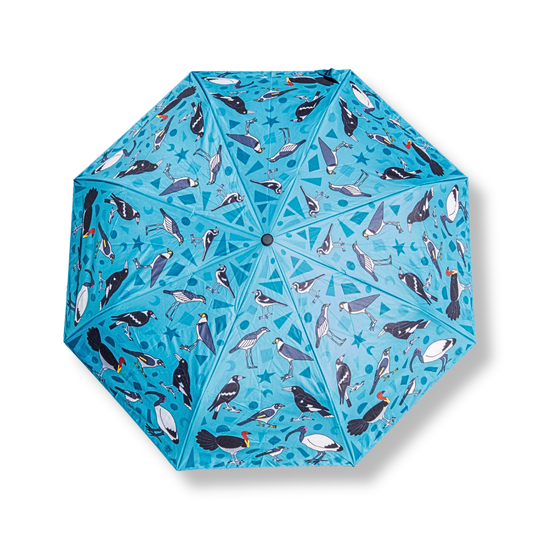 Jesse Irwin Umbrella | Birds of Brisbane in Blue