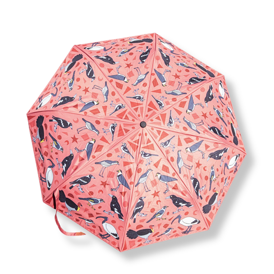 Jesse Irwin Umbrella | Birds of Brisbane in Pink