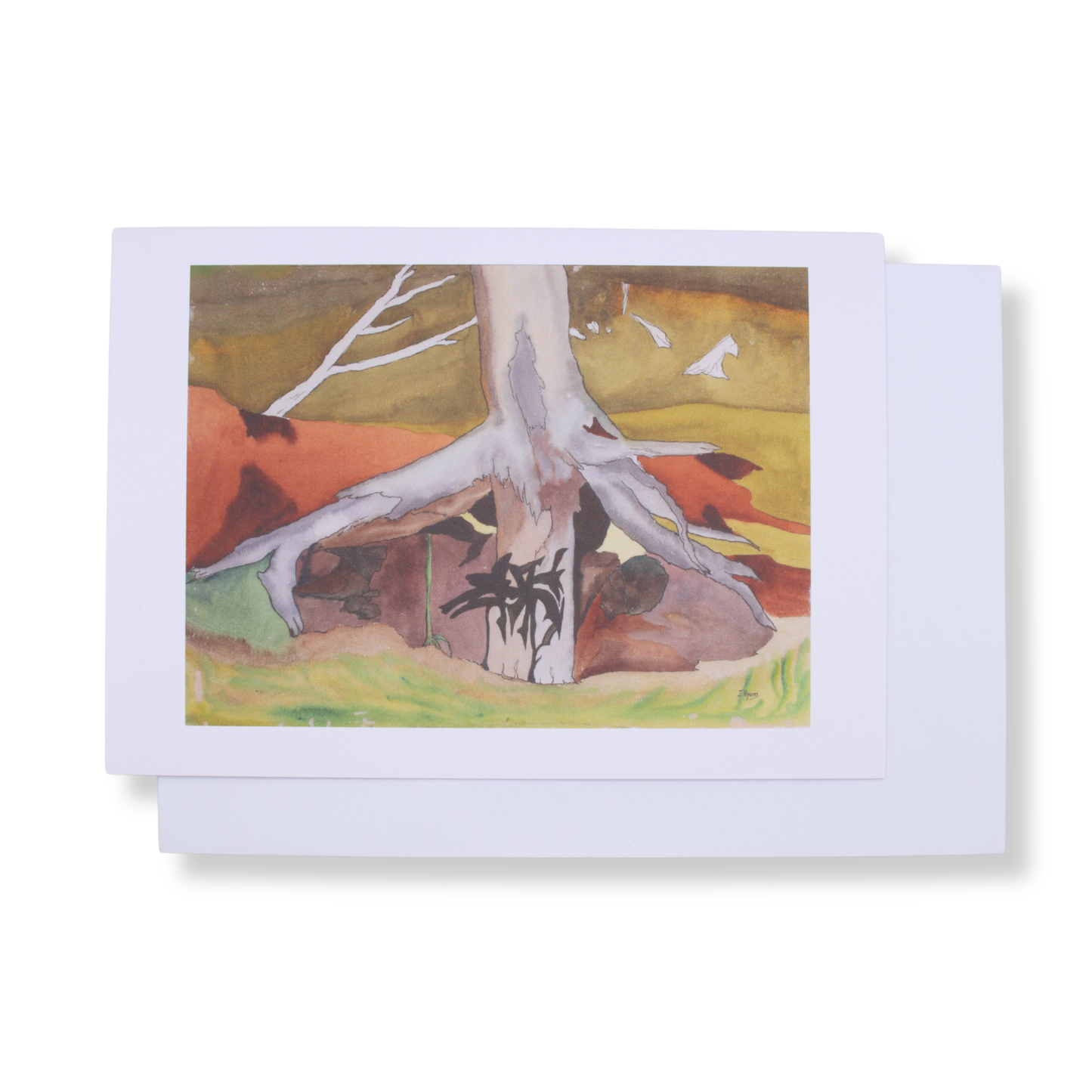 Joyce Hyam Greeting Card | Cribb Island Mangrove Tree Study II