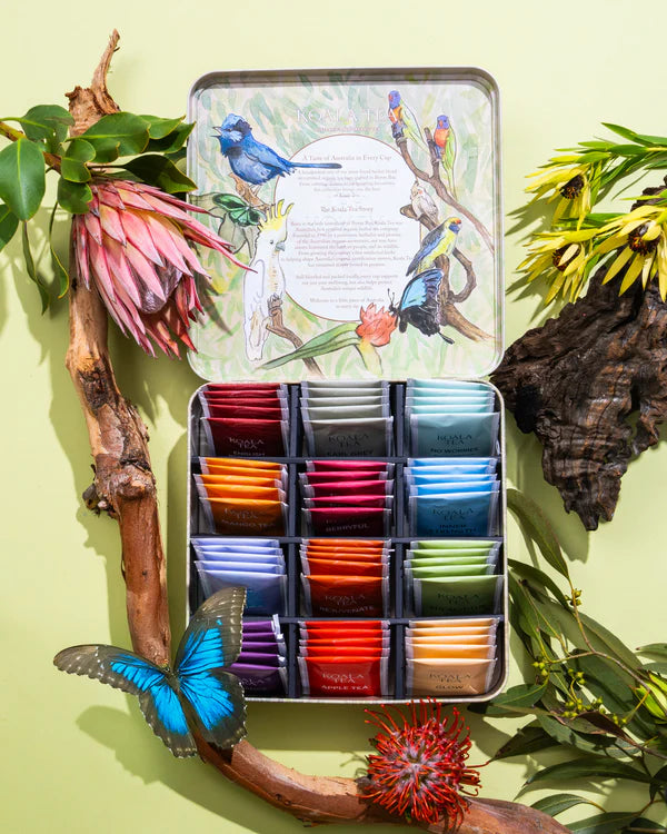 Koala Tea Premium Gift Tin - 72 Tea Bags