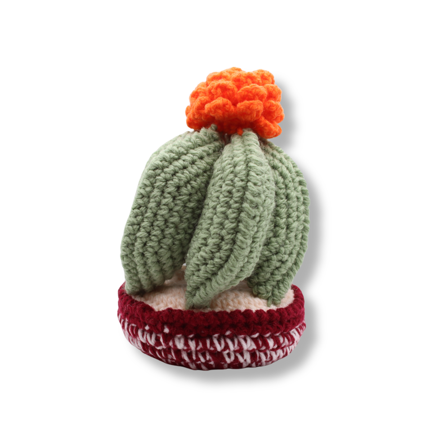 Millie Radovic Hand Knitted + Crocheted Round Cactus #2