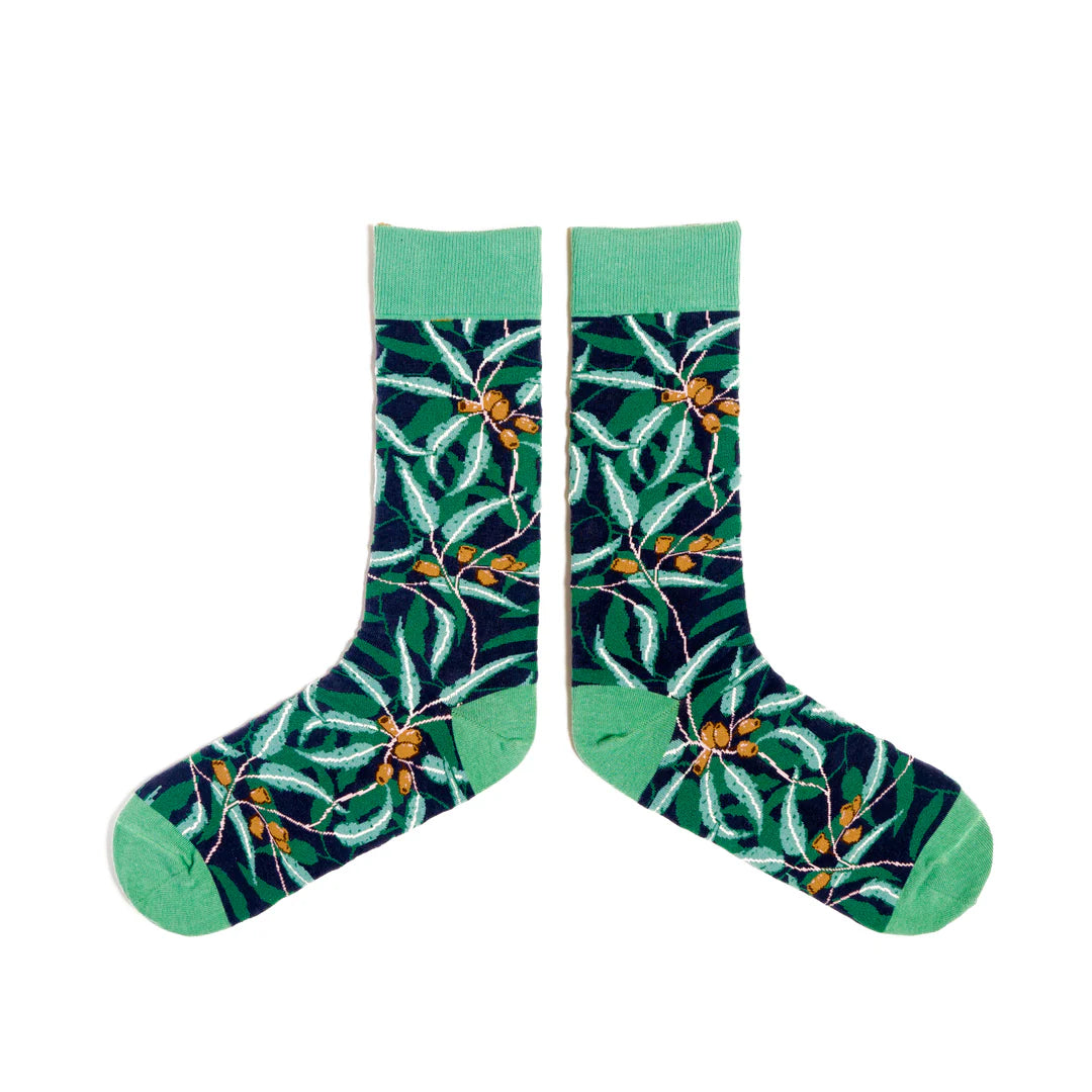 Spencer Flynn Socks | Gum Nuts - Large