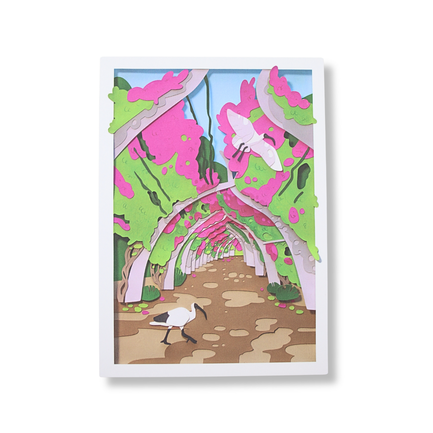 Sarah Capon Postcard | Bougainvillea Arches