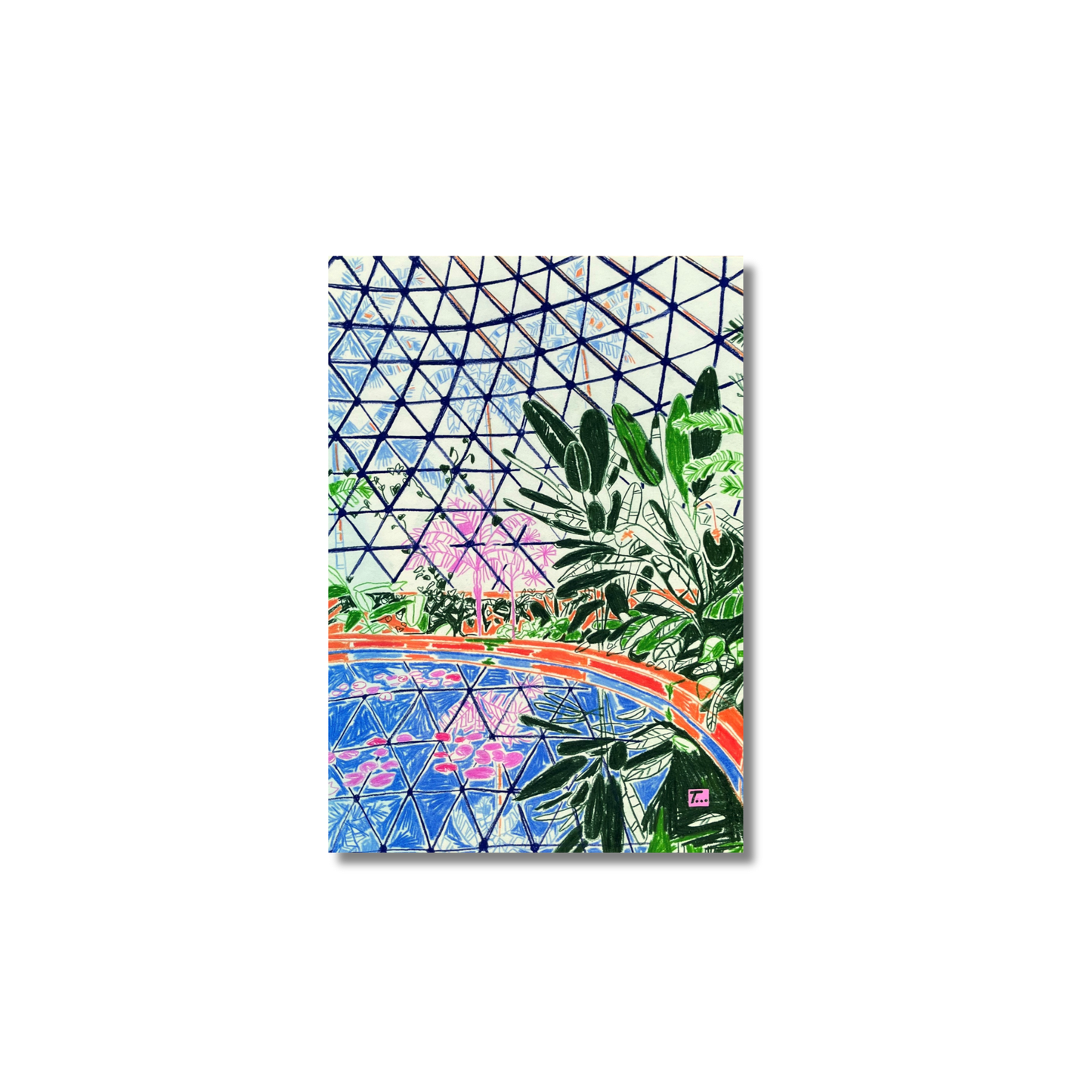 That Time That Greeting Card | Botanic Gardens Brisbane