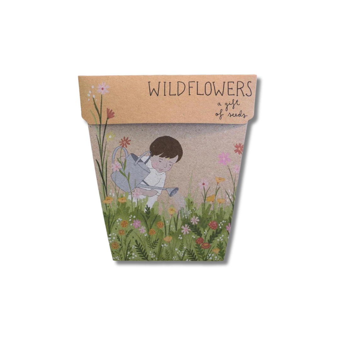 Sow 'n Sow Gift of Seeds | Wildflowers