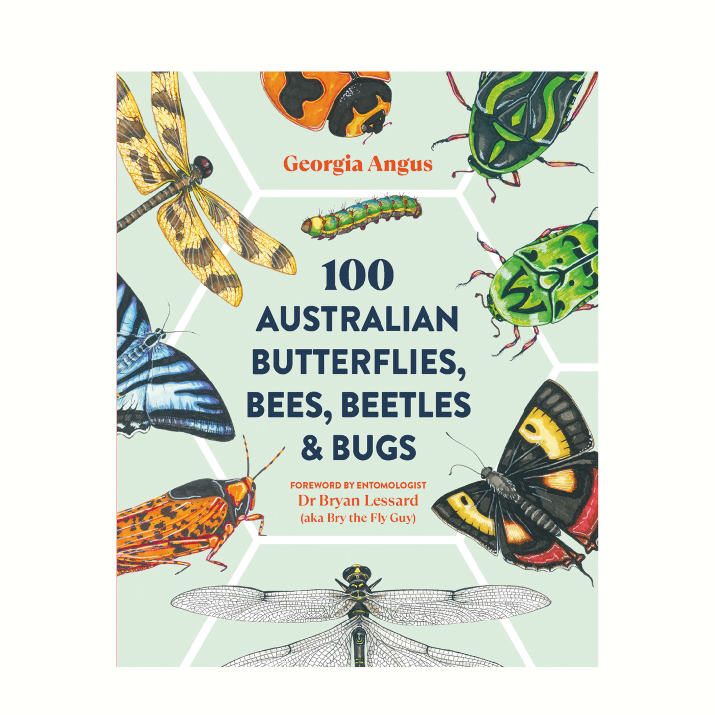 100 Australian Butterflies, Bees, Beetles & Bugs by Georgia Angus