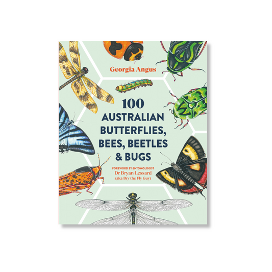 100 Australian Butterflies, Bees, Beetles & Bugs by Georgia Angus