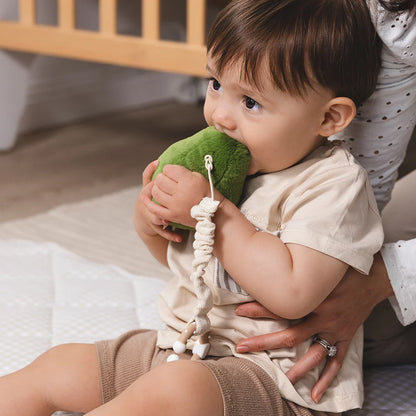 Living Textiles Co. 2 Pack Stroller Toys | Avocado & Egg on Toast