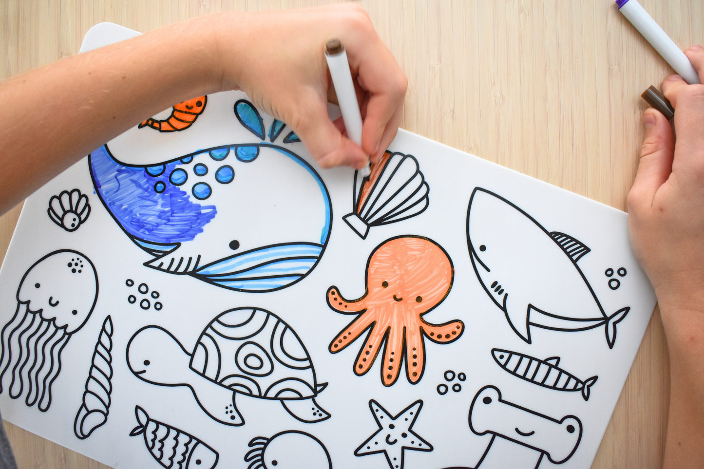 Koala Dream Reusable Silicone Drawing Mat | Australian Sea Animals