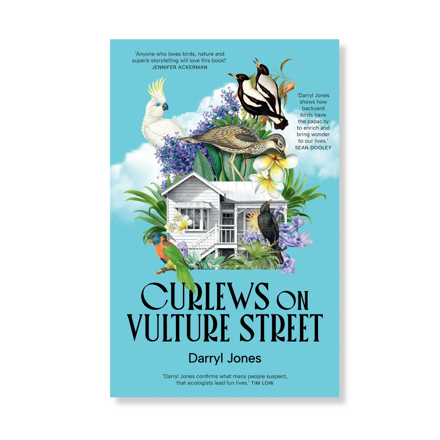 Curlews on Vulture Street by Darryl Jones