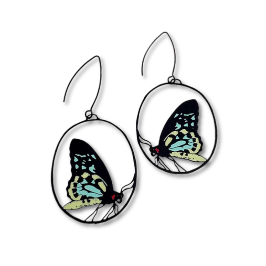 Denz Midi Butterfly Earrings | Cairns Birdwing