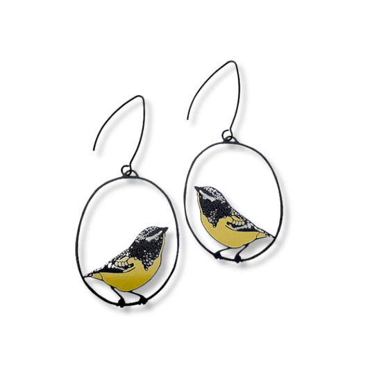 Denz Midi Spotted Pardalote