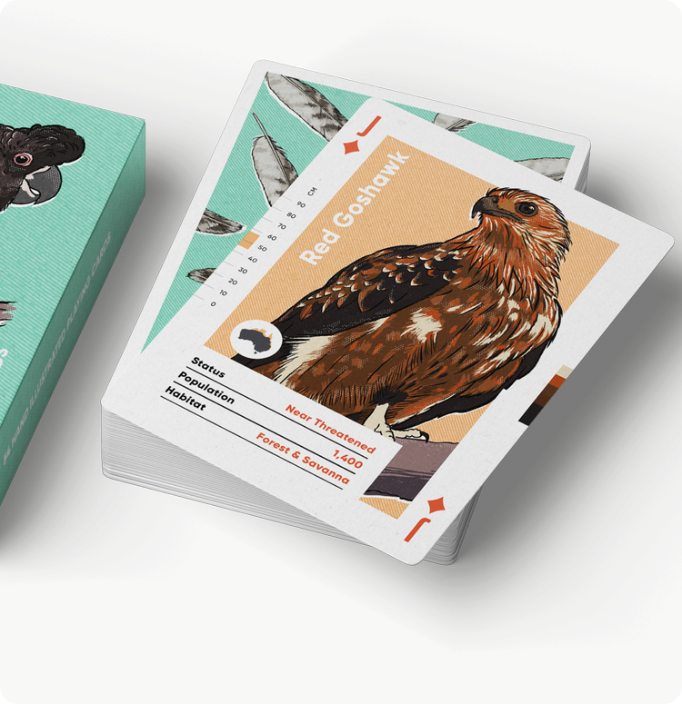 Wildly Nice Playing Cards | Birds of Australia
