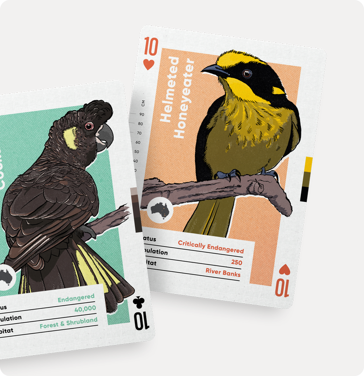 Wildly Nice Playing Cards | Birds of Australia