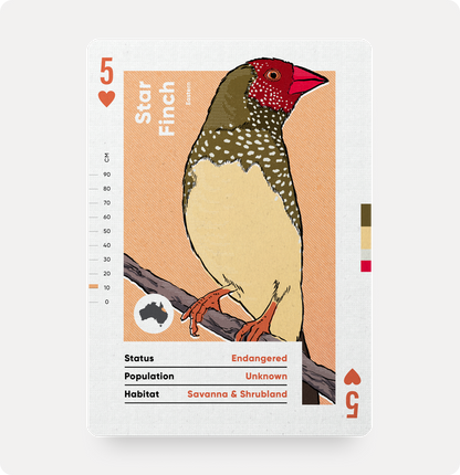 Wildly Nice Playing Cards | Birds of Australia