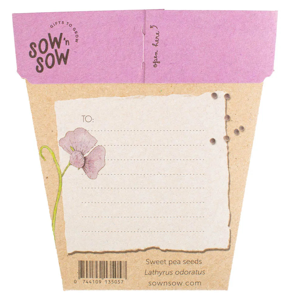 Sow 'n Sow Gift of Seeds | Sweet Pea