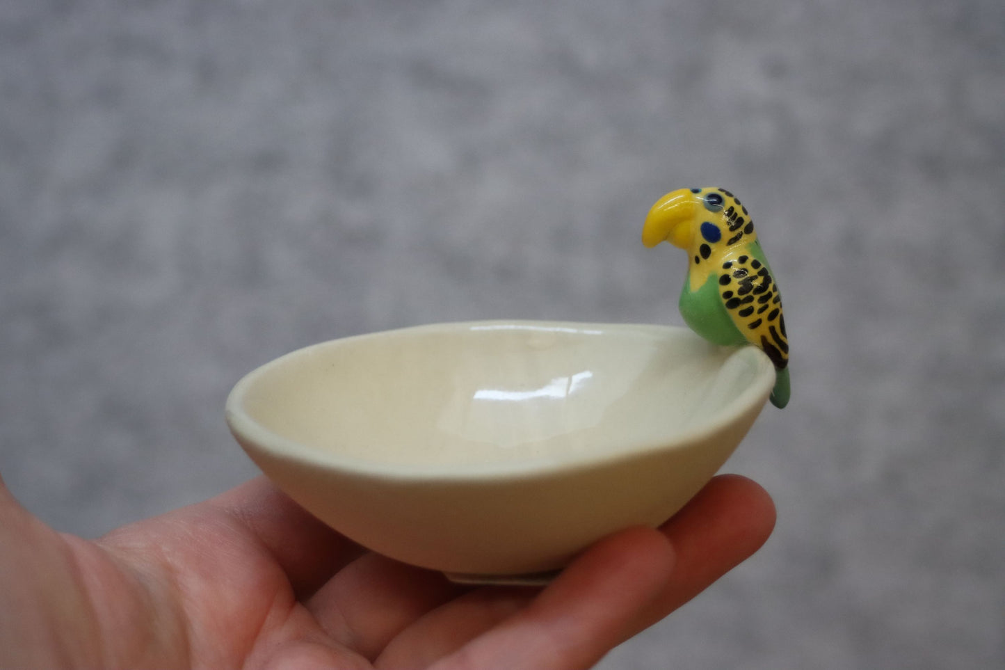 Green Bird Ceramics Bowl | Budgie Mini