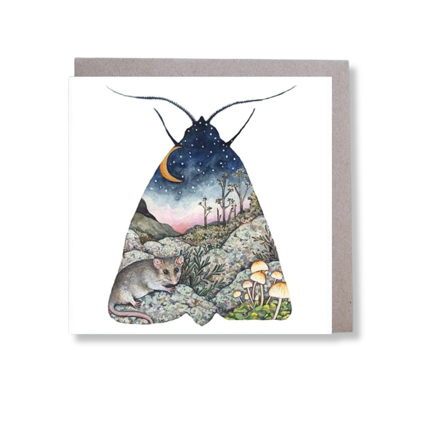 Ingrid Bartkowiak Square Greeting Card | Bogong Moth