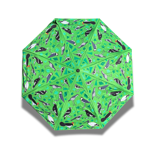Bright green umbrella with a black and white bird pattern featuring species found in Brisbane
