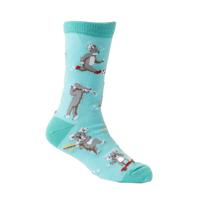 Spencer Flynn Socks | Active Koalas - Kids 4-6 years