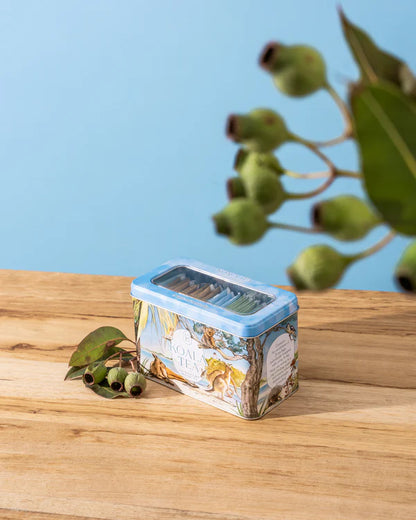 Koala Tea Gift Tin - 25 Tea Bags | Beach