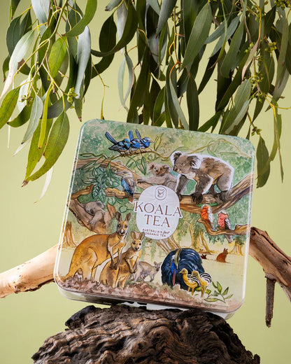 Koala Tea Premium Gift Tin - 72 Tea Bags
