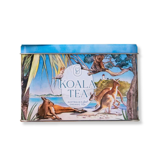 Koala Tea Gift Tin - 25 Tea Bags | Beach