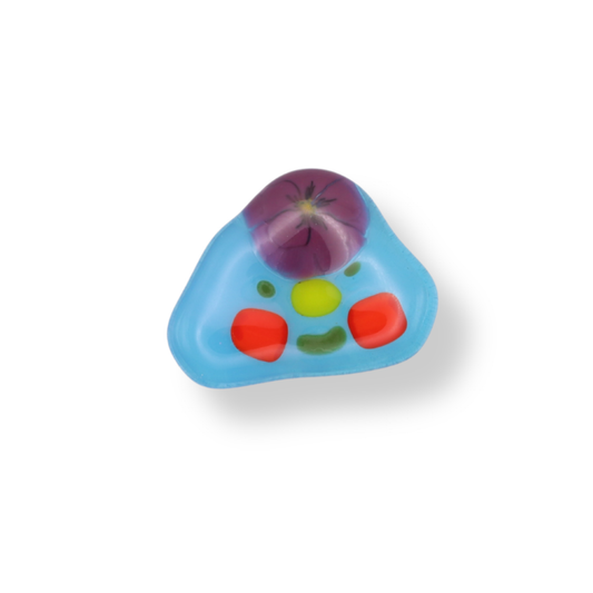 Lawn Bowls Poochie Pet | #11