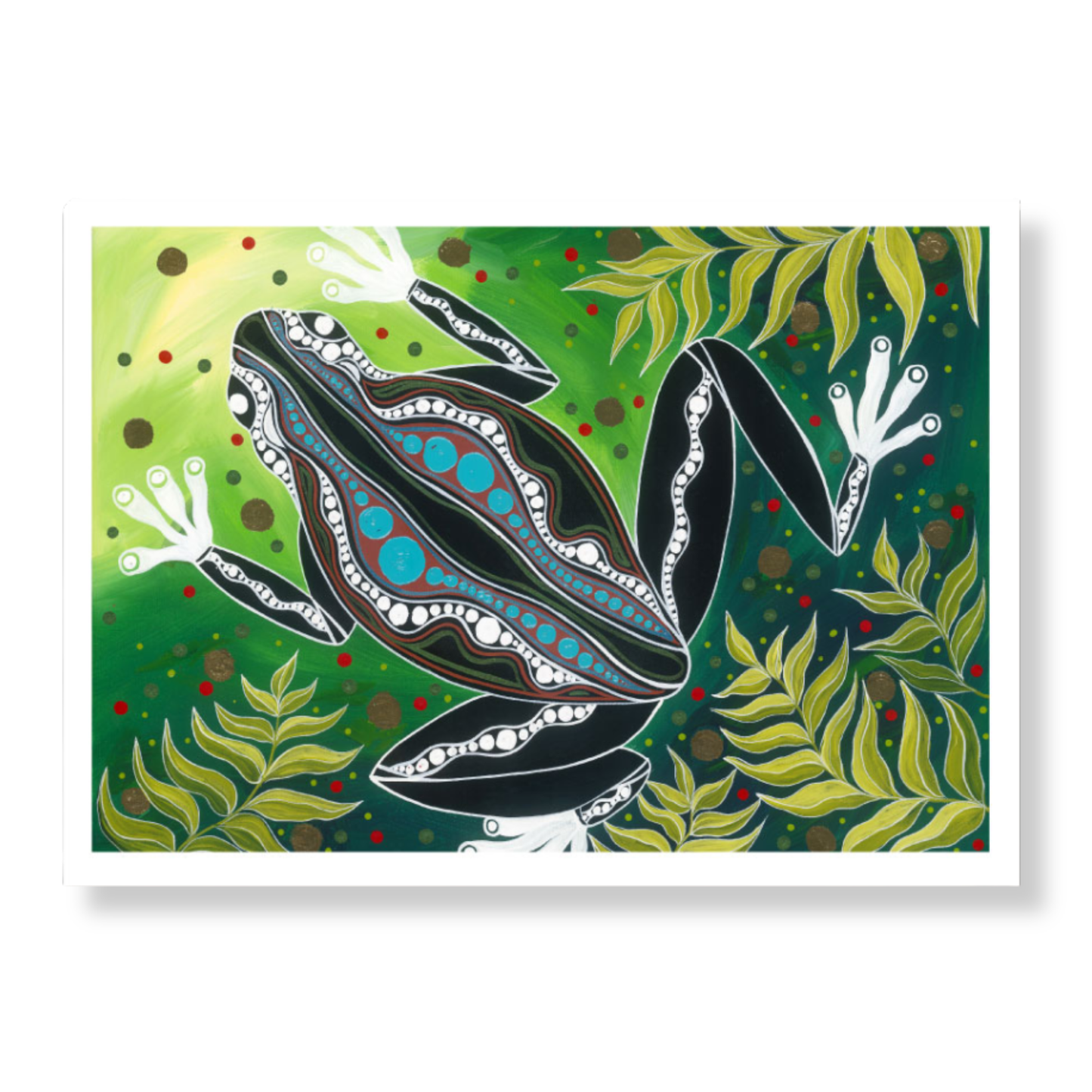 Melanie Hava Print Medium | Frog