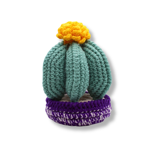 Millie Radovic Hand Knitted + Crocheted Round Cactus #3