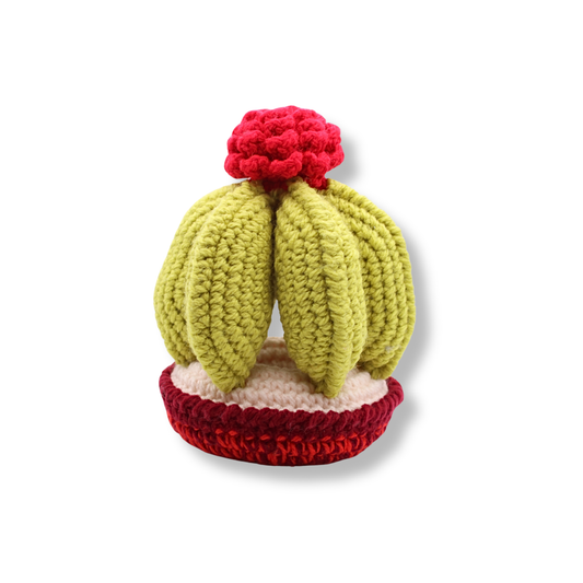 Millie Radovic Hand Knitted + Crocheted Round Cactus #4