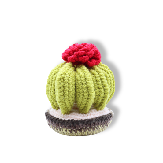 Millie Radovic Hand Knitted + Crocheted Round Cactus