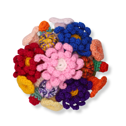 Millie Radovic Crocheted Mini Coral Reef #1