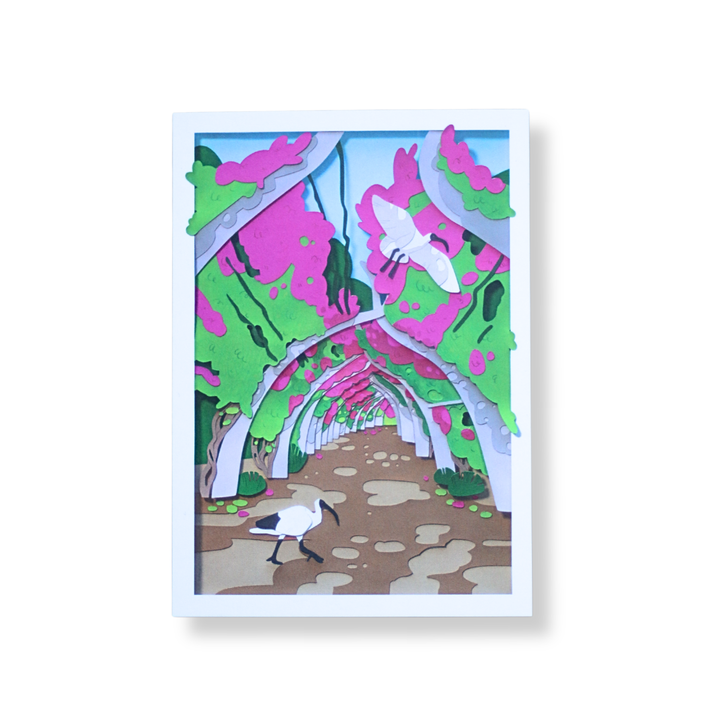 Sarah Capon Postcard | Bougainvillea Arches