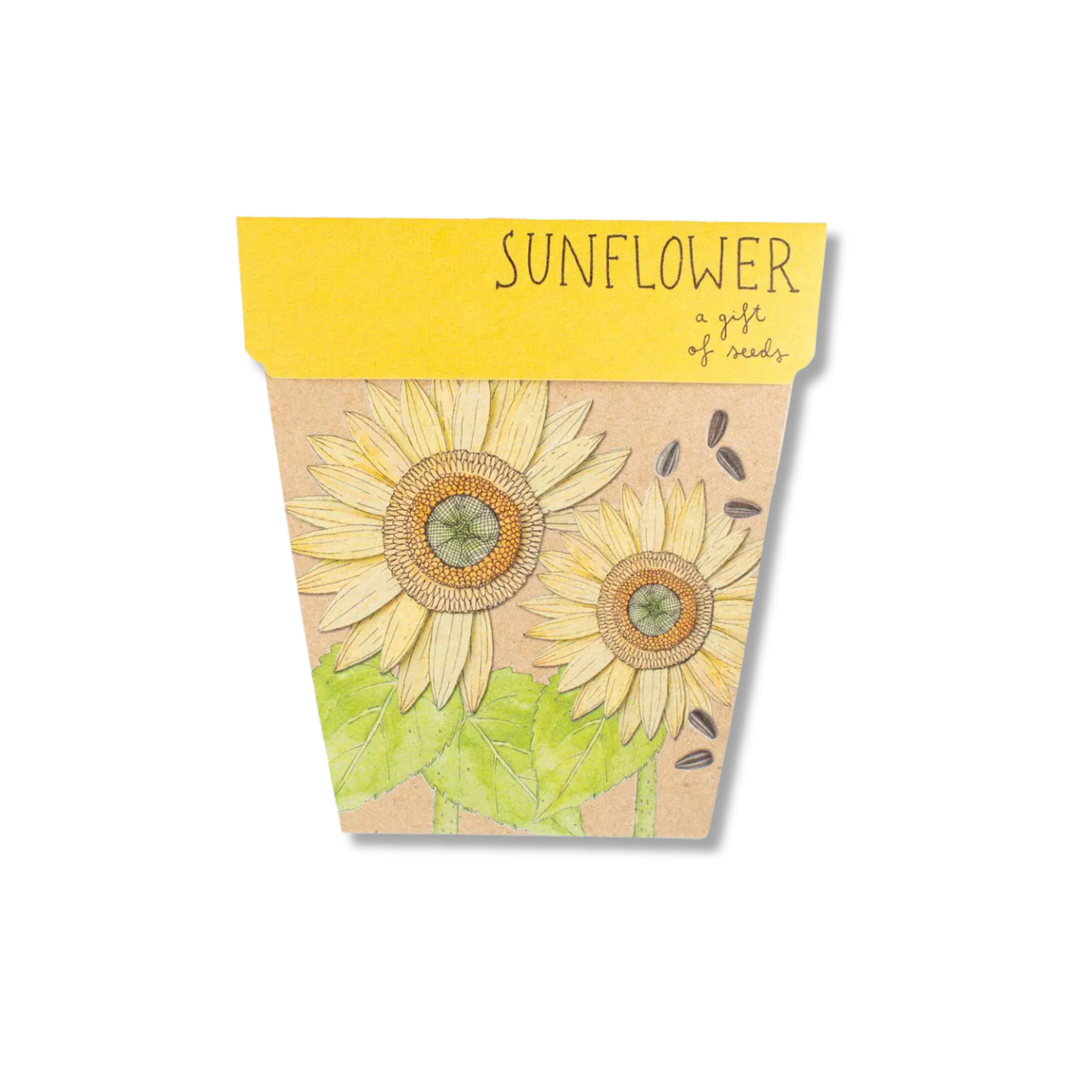 Sow 'n Sow Gift of Seeds | Sunflower