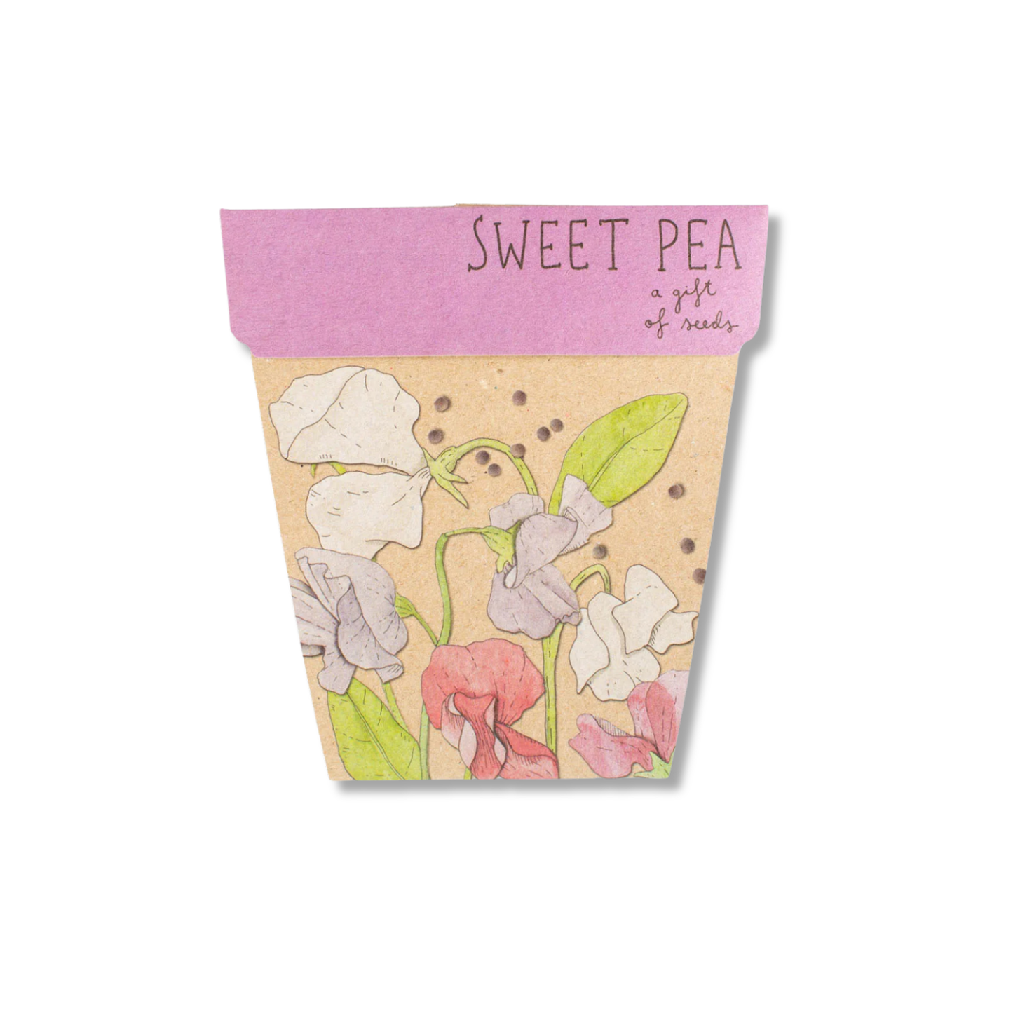 Sow 'n Sow Gift of Seeds | Sweet Pea