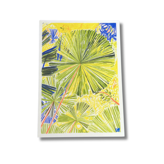 That Time That A4 Print | Palm Tree Daintree