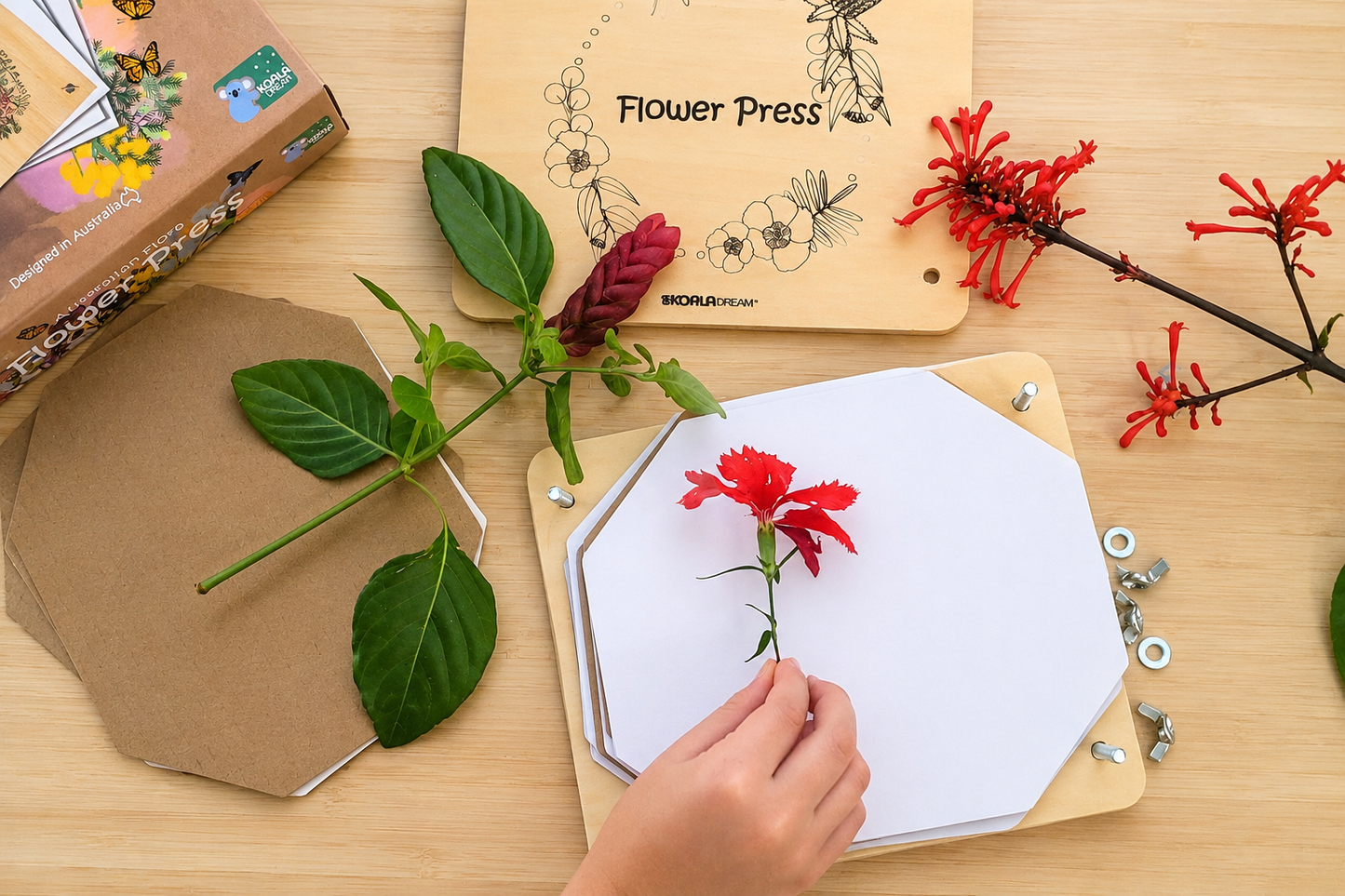 Koala Dream Flower Press Craft Kit | Australian Flora