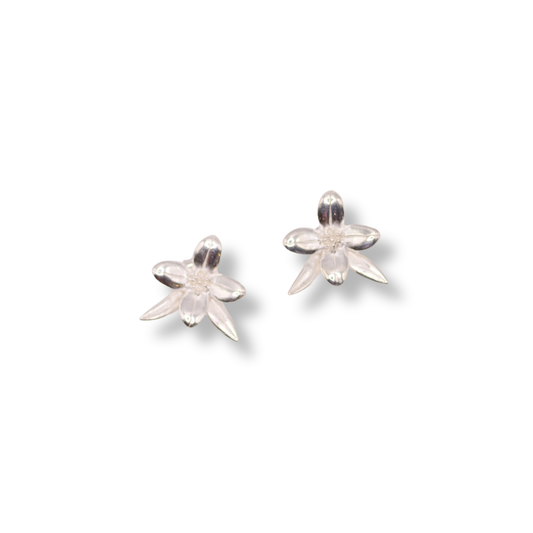 Xiao Earrings | Boronia Studs