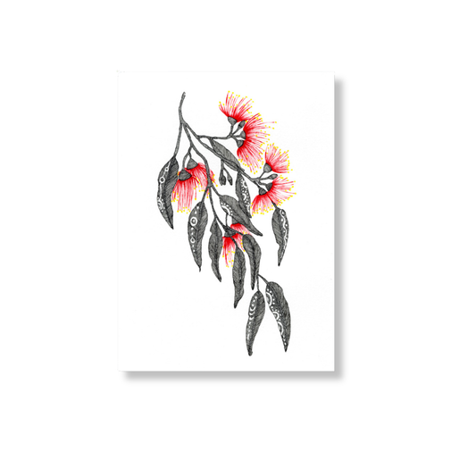 Yuluwirree Greeting Card | Gum Nuts