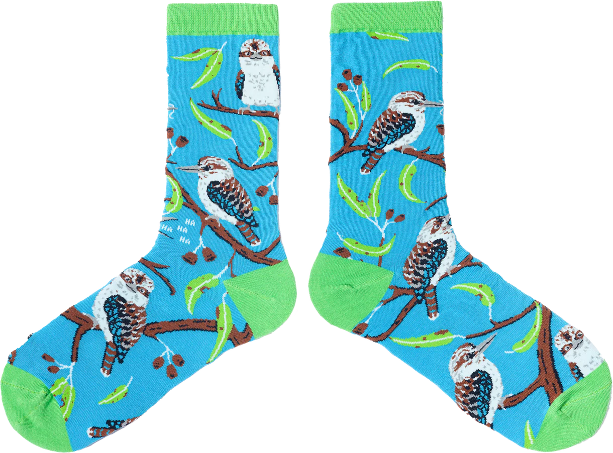 Spencer Flynn Socks | Kookaburra- Medium