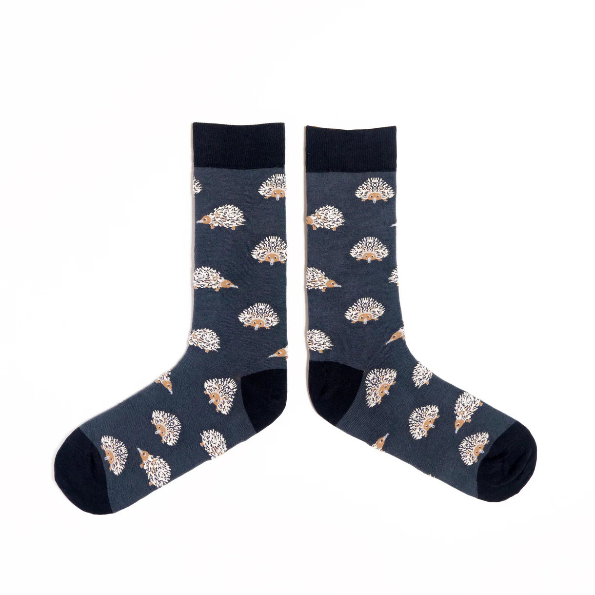 Spencer Flynn Socks | Echidna - Large