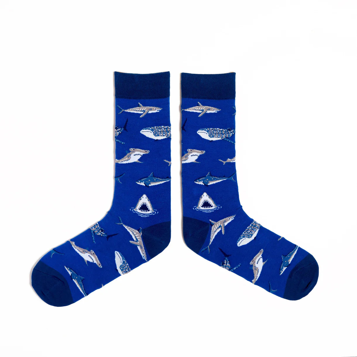 Spencer Flynn Socks | Sharks - Large