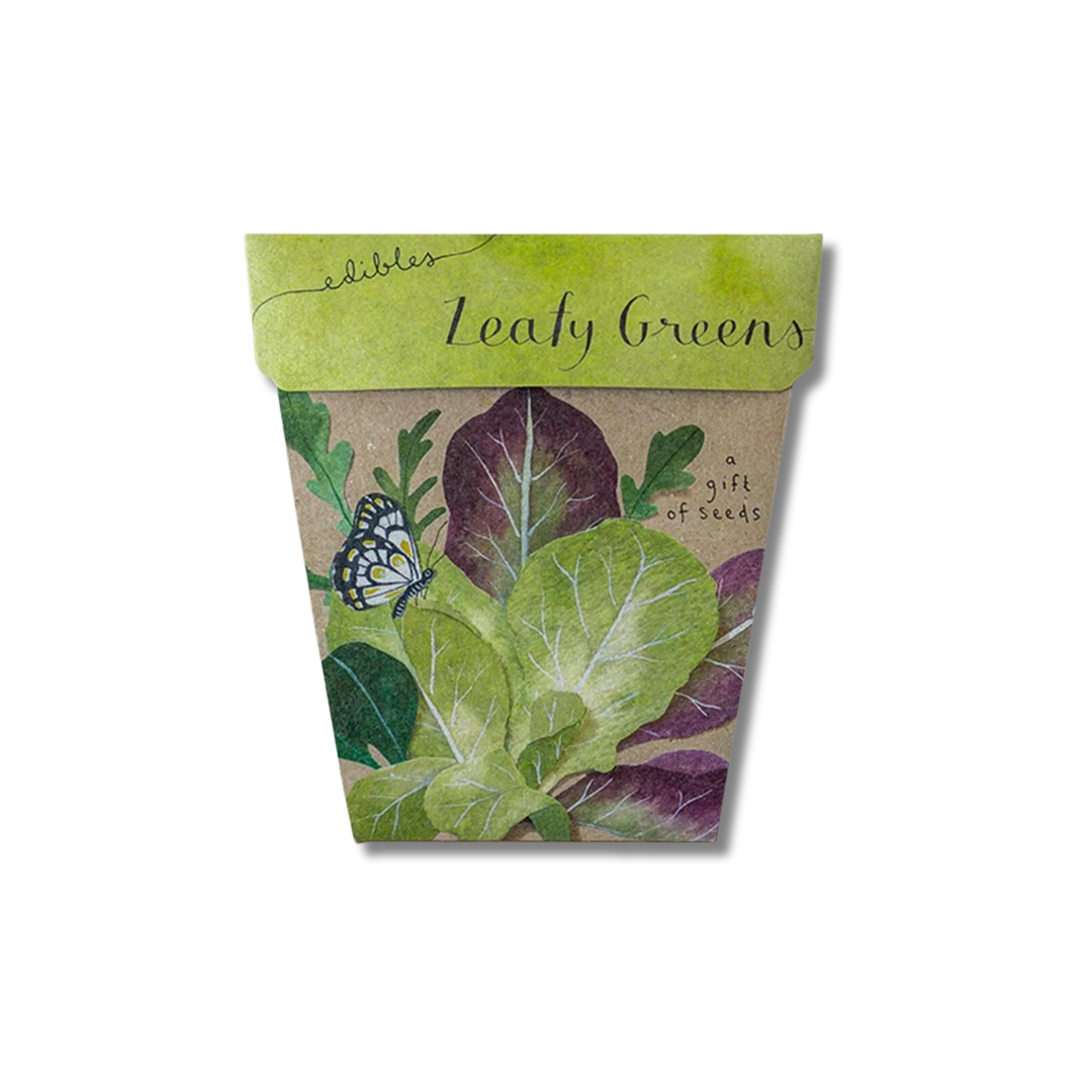 Sow 'n Sow Gift of Seeds | Leafy Greens